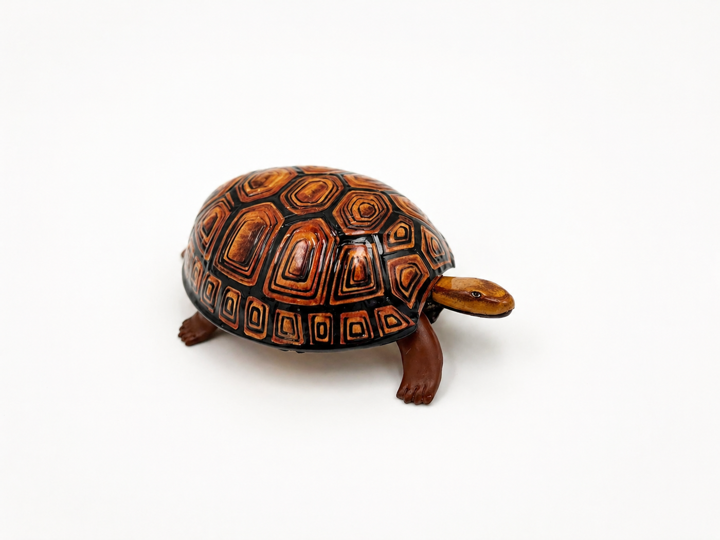 The Slow & Steady Turtle
