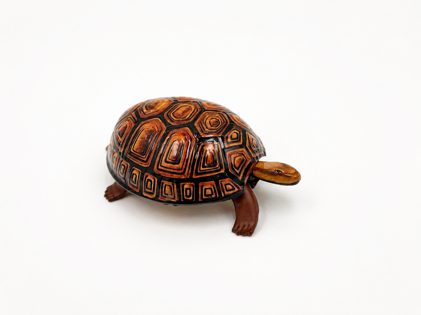The Slow & Steady Turtle