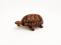 The Slow & Steady Turtle