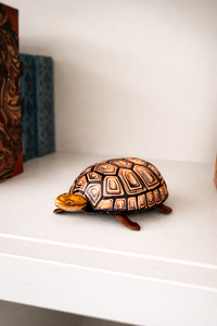 The Slow & Steady Turtle