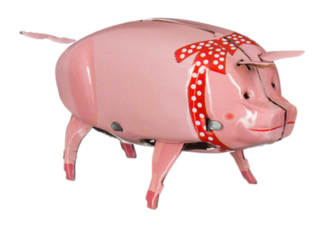 Polly the Pig