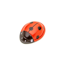 The Click-Clack Ladybug