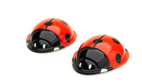 The Click-Clack Ladybug