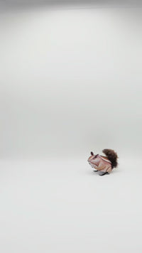 The Jumping Squirrel