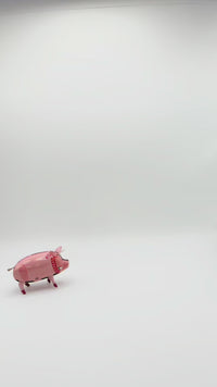 Polly the Pig